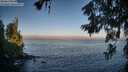 ./images/koeye/fitz-hugh/20260621/fitz-hugh20260621_061501M.jpg