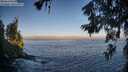 ./images/koeye/fitz-hugh/20260621/fitz-hugh20260621_062501M.jpg