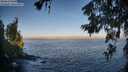 ./images/koeye/fitz-hugh/20260621/fitz-hugh20260621_063001M.jpg