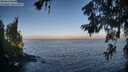 ./images/koeye/fitz-hugh/20260621/fitz-hugh20260621_064002M.jpg