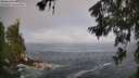 ./images/koeye/fitz-hugh/20260621/fitz-hugh20260621_074002M.jpg
