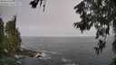 ./images/koeye/fitz-hugh/20260621/fitz-hugh20260621_083501M.jpg