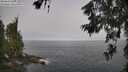 ./images/koeye/fitz-hugh/20260621/fitz-hugh20260621_084001M.jpg