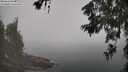 ./images/koeye/fitz-hugh/20260621/fitz-hugh20260621_105002M.jpg