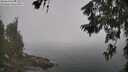 ./images/koeye/fitz-hugh/20260621/fitz-hugh20260621_105501M.jpg