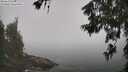 ./images/koeye/fitz-hugh/20260621/fitz-hugh20260621_110502M.jpg