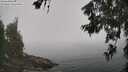 ./images/koeye/fitz-hugh/20260621/fitz-hugh20260621_111502M.jpg