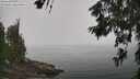 ./images/koeye/fitz-hugh/20260621/fitz-hugh20260621_113501M.jpg