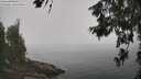 ./images/koeye/fitz-hugh/20260621/fitz-hugh20260621_114001M.jpg