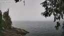 ./images/koeye/fitz-hugh/20260621/fitz-hugh20260621_115501M.jpg