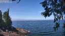 ./images/koeye/fitz-hugh/20260621/fitz-hugh20260621_122501M.jpg