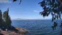 ./images/koeye/fitz-hugh/20260621/fitz-hugh20260621_123001M.jpg