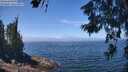 ./images/koeye/fitz-hugh/20260621/fitz-hugh20260621_123501M.jpg