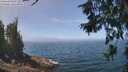 ./images/koeye/fitz-hugh/20260621/fitz-hugh20260621_124001M.jpg