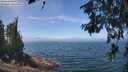 ./images/koeye/fitz-hugh/20260621/fitz-hugh20260621_125001M.jpg