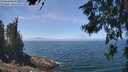 ./images/koeye/fitz-hugh/20260621/fitz-hugh20260621_125501M.jpg