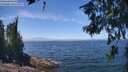 ./images/koeye/fitz-hugh/20260621/fitz-hugh20260621_130501M.jpg