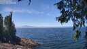 ./images/koeye/fitz-hugh/20260621/fitz-hugh20260621_131001M.jpg