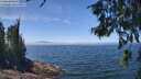 ./images/koeye/fitz-hugh/20260621/fitz-hugh20260621_131501M.jpg