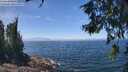 ./images/koeye/fitz-hugh/20260621/fitz-hugh20260621_132001M.jpg