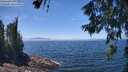 ./images/koeye/fitz-hugh/20260621/fitz-hugh20260621_132501M.jpg