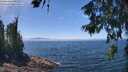 ./images/koeye/fitz-hugh/20260621/fitz-hugh20260621_133001M.jpg
