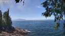 ./images/koeye/fitz-hugh/20260621/fitz-hugh20260621_133501M.jpg