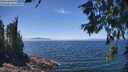 ./images/koeye/fitz-hugh/20260621/fitz-hugh20260621_134002M.jpg