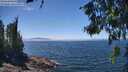 ./images/koeye/fitz-hugh/20260621/fitz-hugh20260621_135002M.jpg