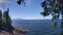 ./images/koeye/fitz-hugh/20260621/fitz-hugh20260621_135501M.jpg