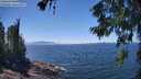 ./images/koeye/fitz-hugh/20260621/fitz-hugh20260621_140001M.jpg