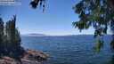 ./images/koeye/fitz-hugh/20260621/fitz-hugh20260621_141002M.jpg