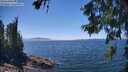 ./images/koeye/fitz-hugh/20260621/fitz-hugh20260621_141501M.jpg