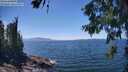 ./images/koeye/fitz-hugh/20260621/fitz-hugh20260621_142001M.jpg
