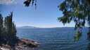 ./images/koeye/fitz-hugh/20260621/fitz-hugh20260621_142502M.jpg