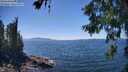 ./images/koeye/fitz-hugh/20260621/fitz-hugh20260621_143001M.jpg
