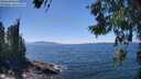 ./images/koeye/fitz-hugh/20260621/fitz-hugh20260621_143501M.jpg
