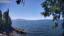 ./images/koeye/fitz-hugh/20260621/fitz-hugh20260621_144001M.jpg