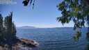 ./images/koeye/fitz-hugh/20260621/fitz-hugh20260621_144502M.jpg