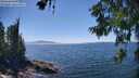 ./images/koeye/fitz-hugh/20260621/fitz-hugh20260621_145002M.jpg