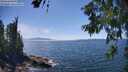 ./images/koeye/fitz-hugh/20260621/fitz-hugh20260621_145501M.jpg