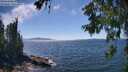 ./images/koeye/fitz-hugh/20260621/fitz-hugh20260621_151001M.jpg