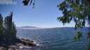 ./images/koeye/fitz-hugh/20260621/fitz-hugh20260621_151501M.jpg