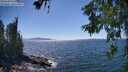 ./images/koeye/fitz-hugh/20260621/fitz-hugh20260621_152501M.jpg