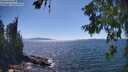 ./images/koeye/fitz-hugh/20260621/fitz-hugh20260621_153501M.jpg