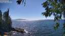 ./images/koeye/fitz-hugh/20260621/fitz-hugh20260621_154501M.jpg