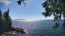 ./images/koeye/fitz-hugh/20260621/fitz-hugh20260621_155501M.jpg