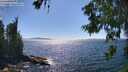 ./images/koeye/fitz-hugh/20260621/fitz-hugh20260621_160001M.jpg