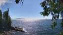 ./images/koeye/fitz-hugh/20260621/fitz-hugh20260621_160501M.jpg