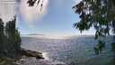 ./images/koeye/fitz-hugh/20260621/fitz-hugh20260621_161001M.jpg